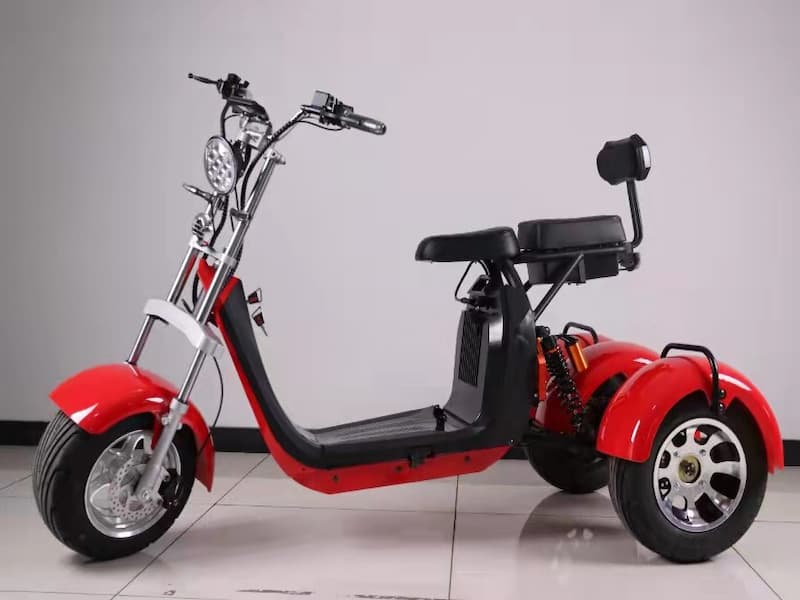 JL-303 Scooter elettrico a 3 ruote da 10 pollici